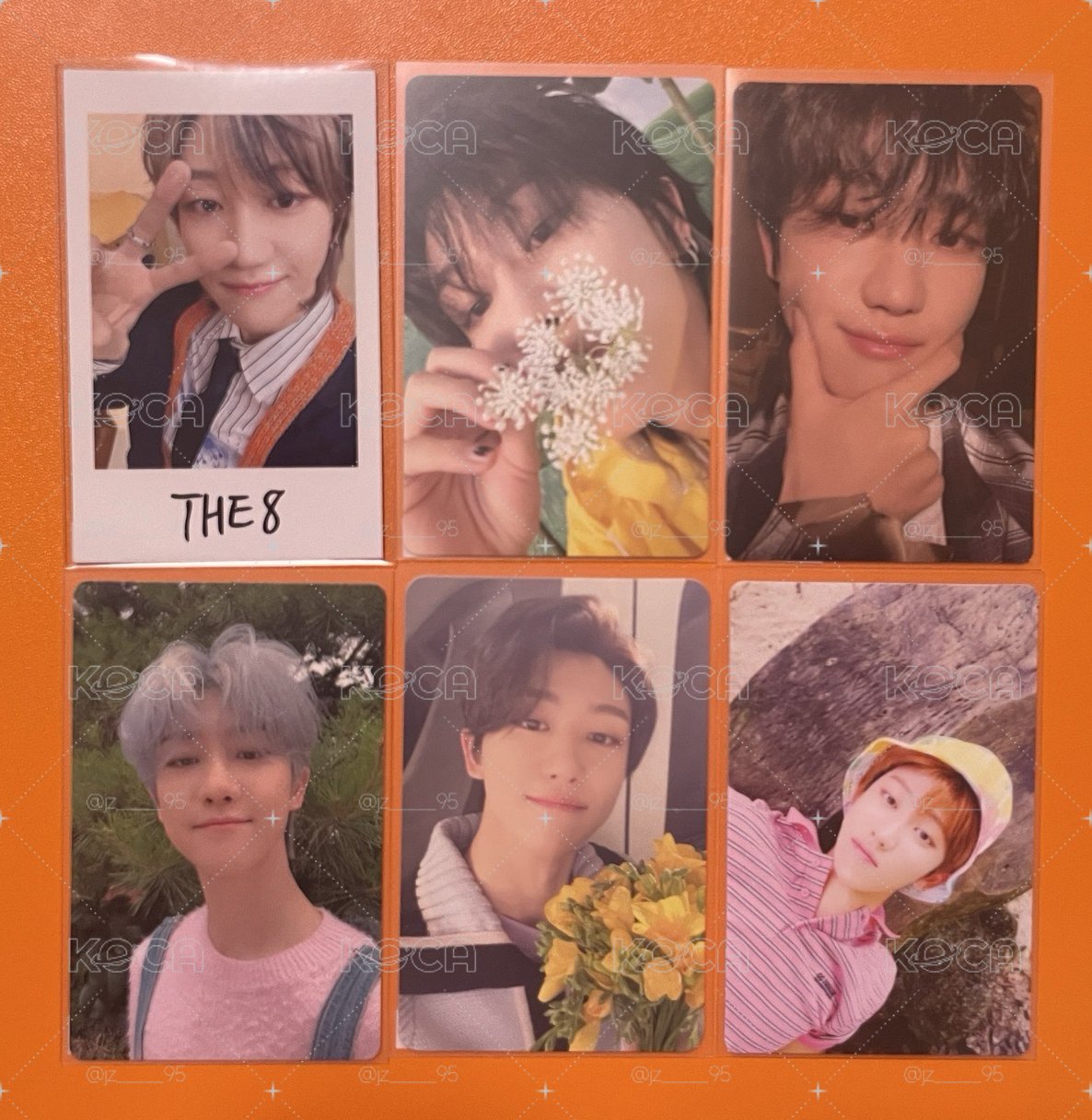 💍｜八迷你盤