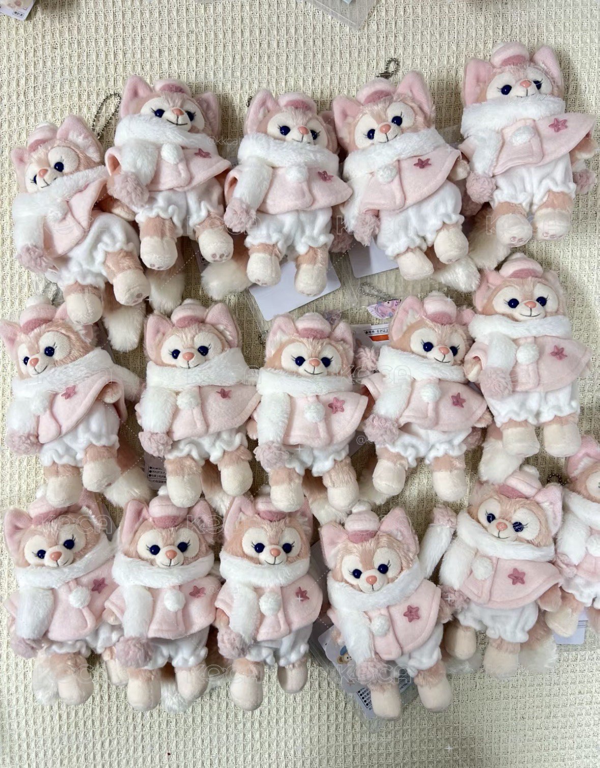 預售/東迪 冬日貝掛