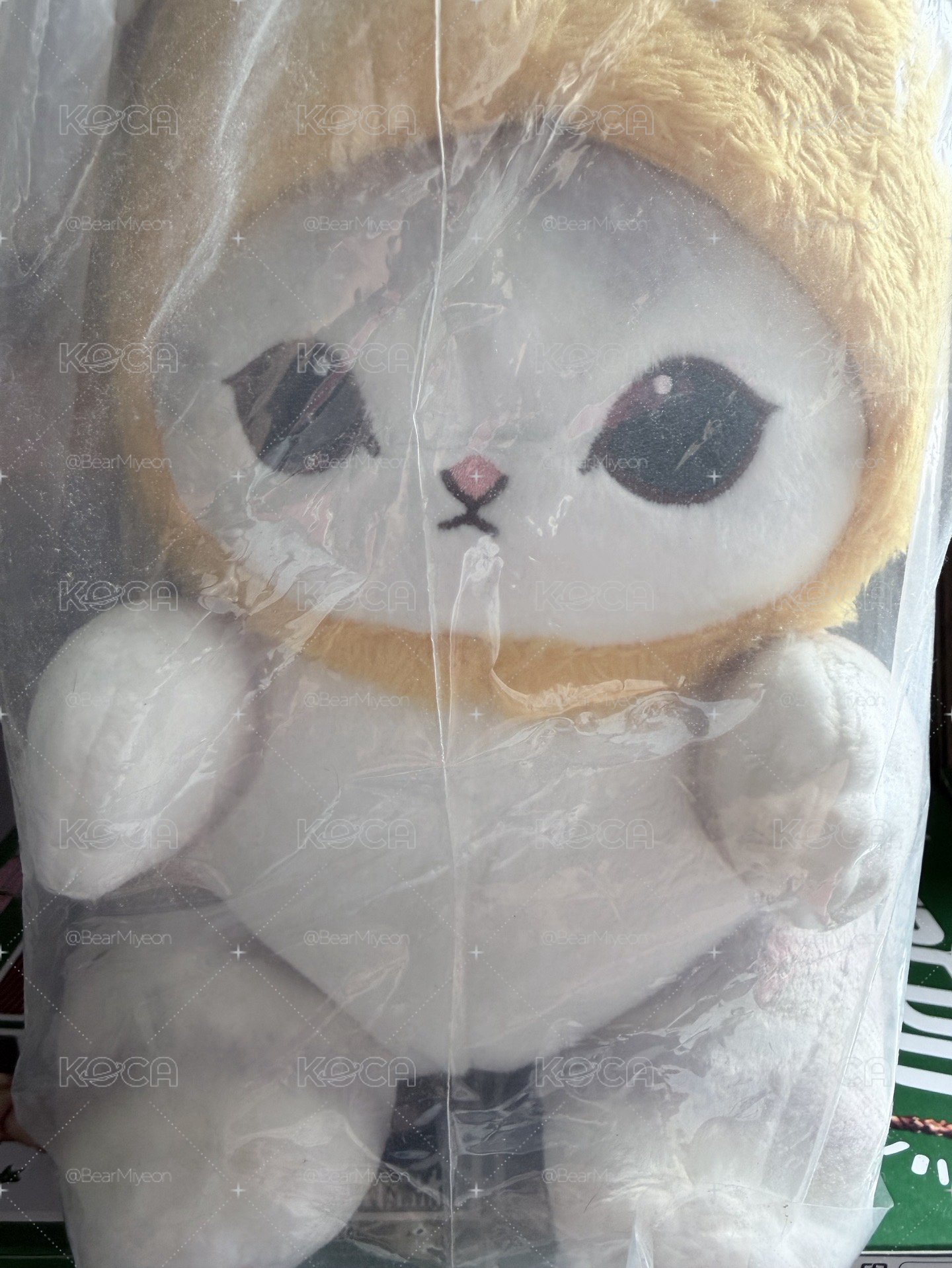炸蝦貓
