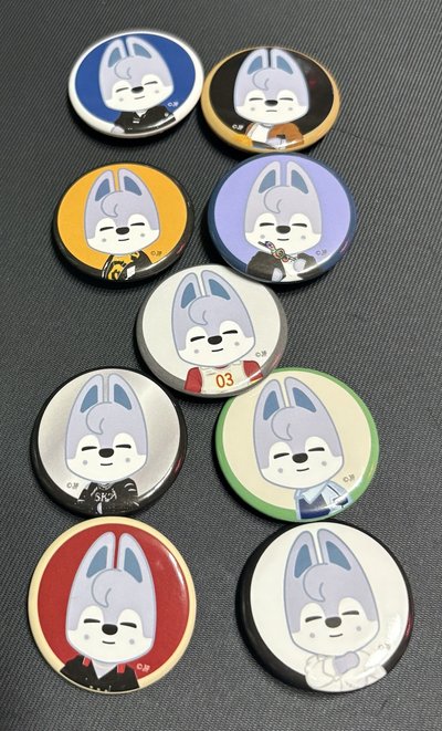 stray kids 日本展覽會燦徽章一組