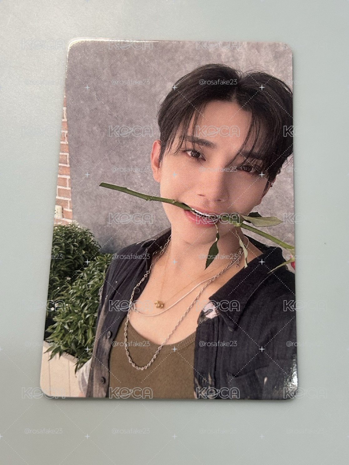SVT 咬花秀