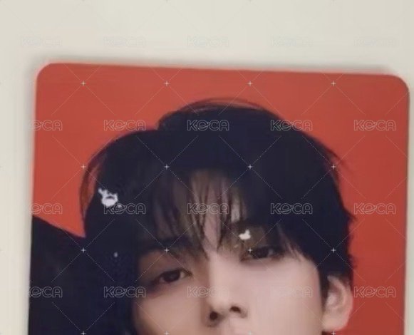 崔秀彬