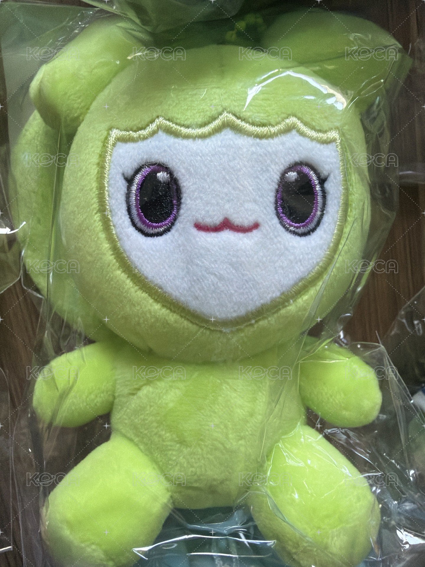 JEONGVELY 坐姿
