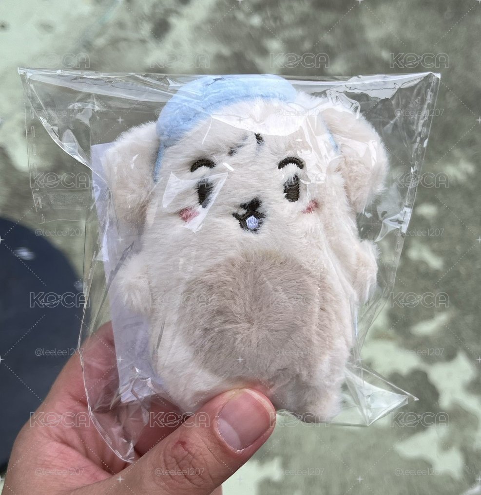 飯咪吊娃 ATEEZ PLUSH 2026 ver. 現貨