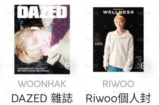 雜誌