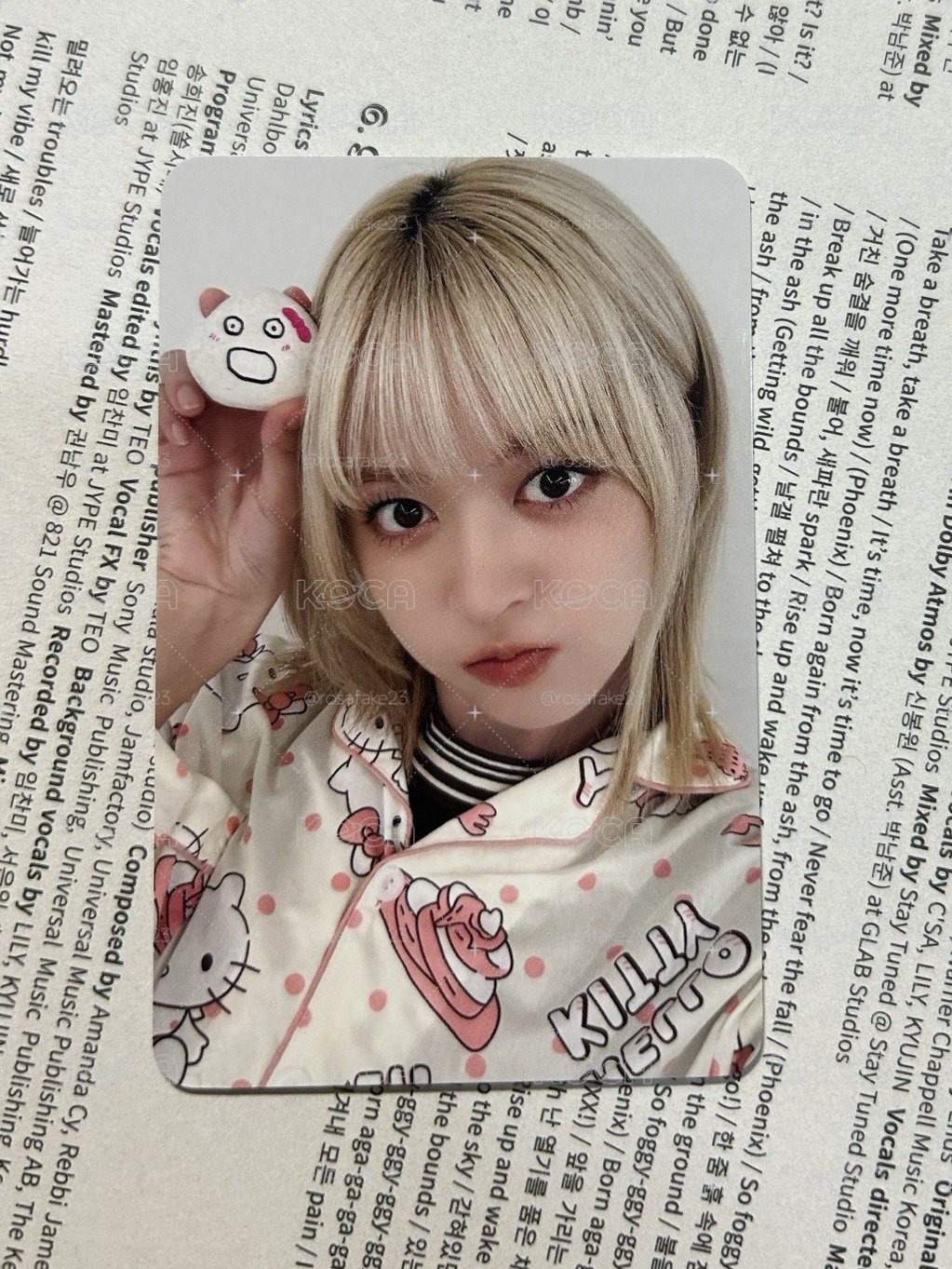 NMIXX 寵物石莉