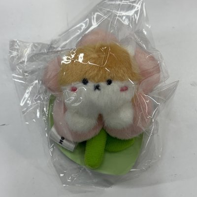 櫻花娃 KIHYUN