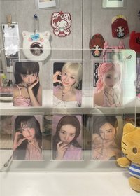 全員無柒