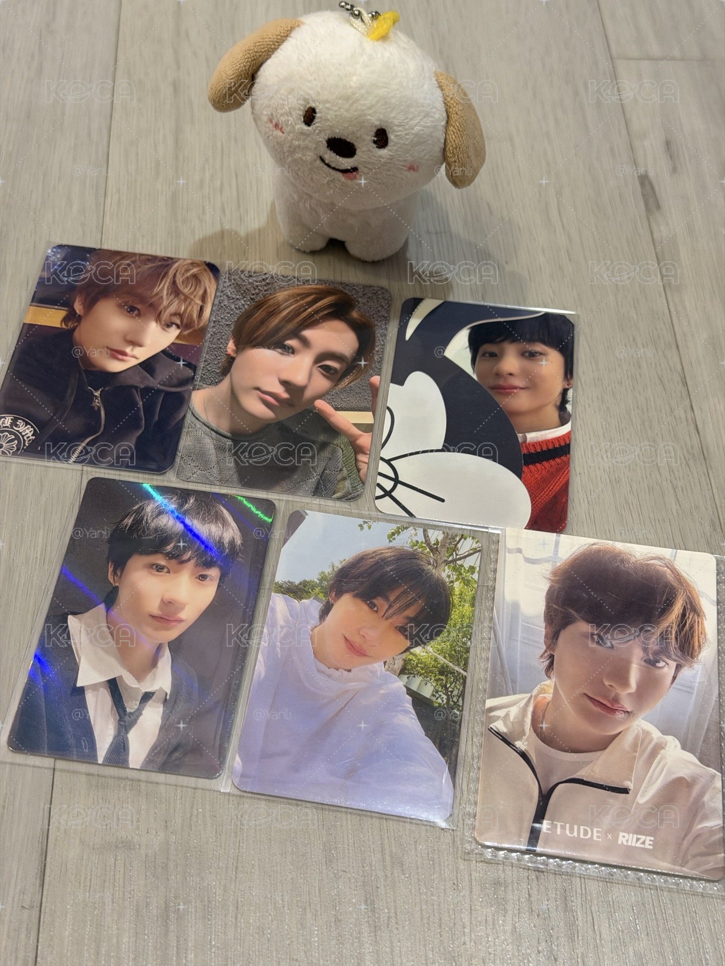 RIIZE ANTON狗龍小盤
