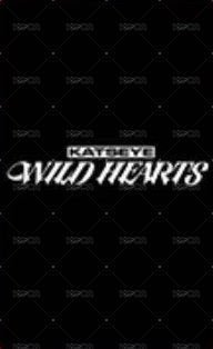 WILD 電影卡  背面