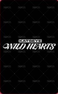WILD 電影卡  背面