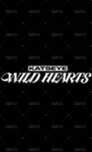 WILD 電影卡  背面
