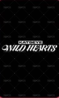WILD 電影卡  背面