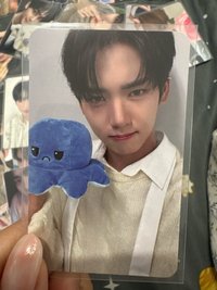 迷二憤怒章魚辰