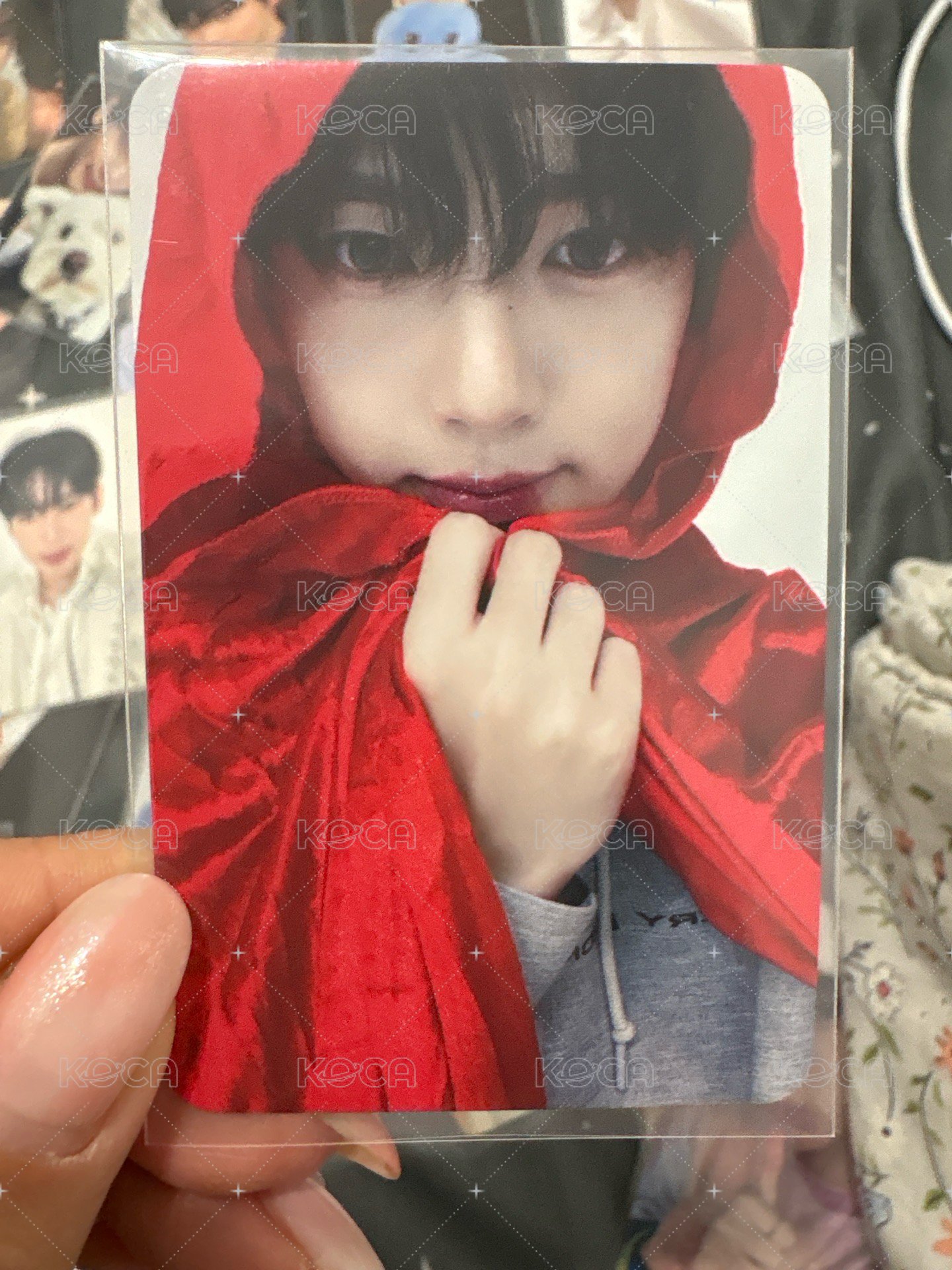 小紅帽辰