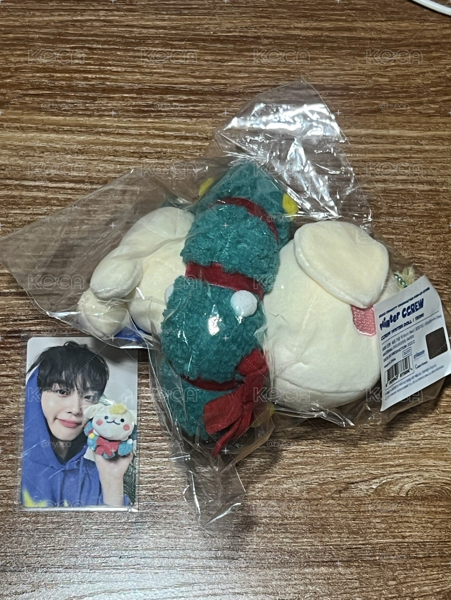 Teori聖誕娃 全新含卡