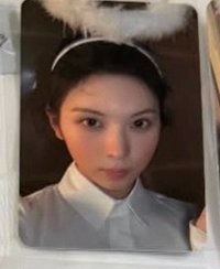 蓓