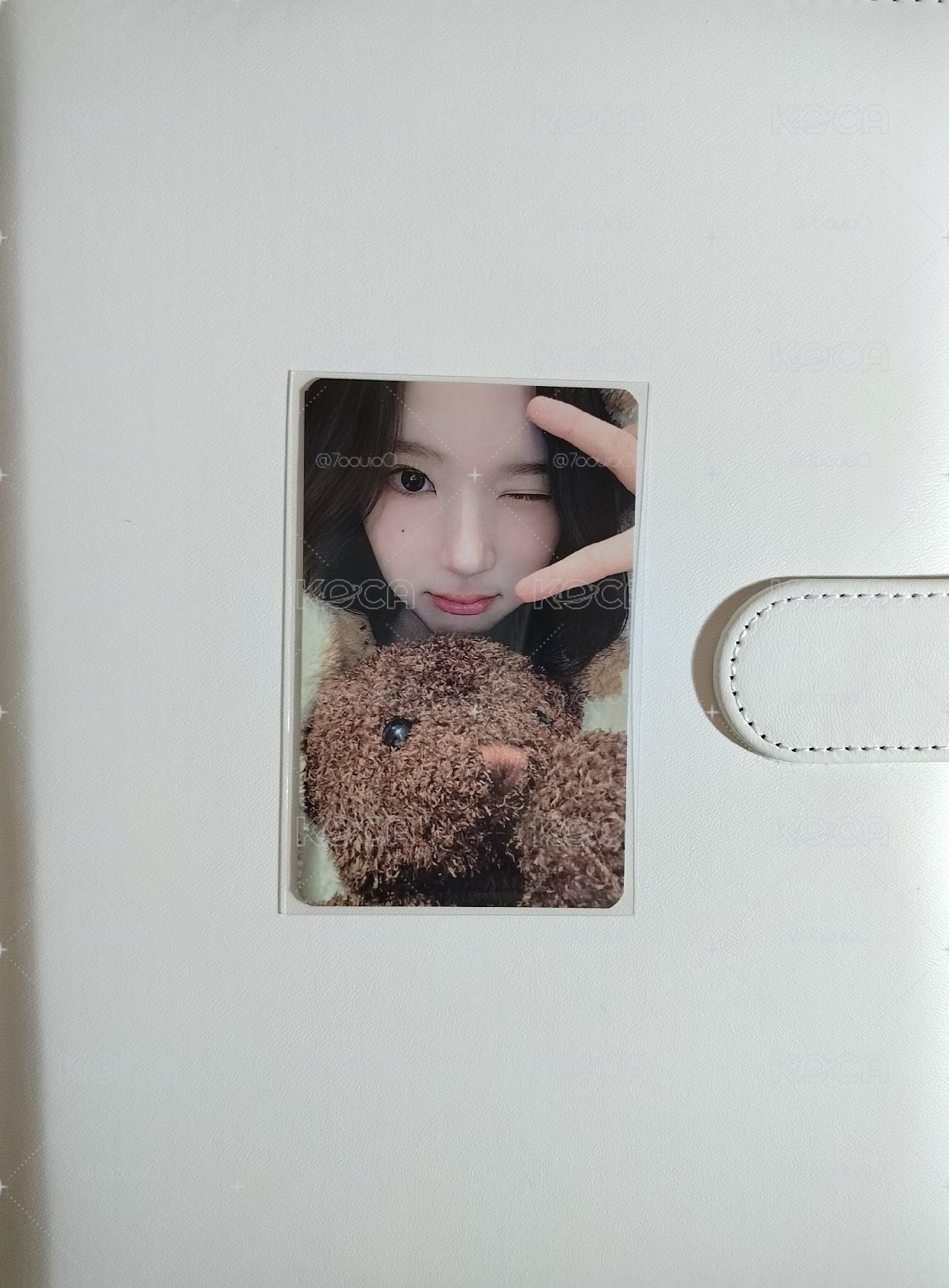 ia 抱熊 jiwoo