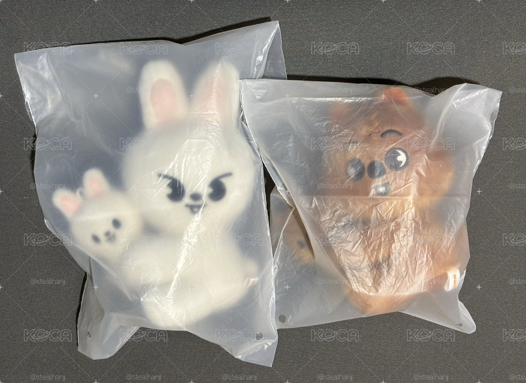 仁川安可磁鐵抱娃 旻城整圖