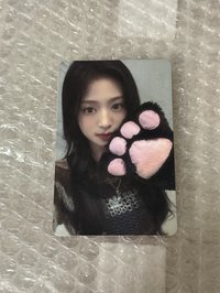 貓爪賢
