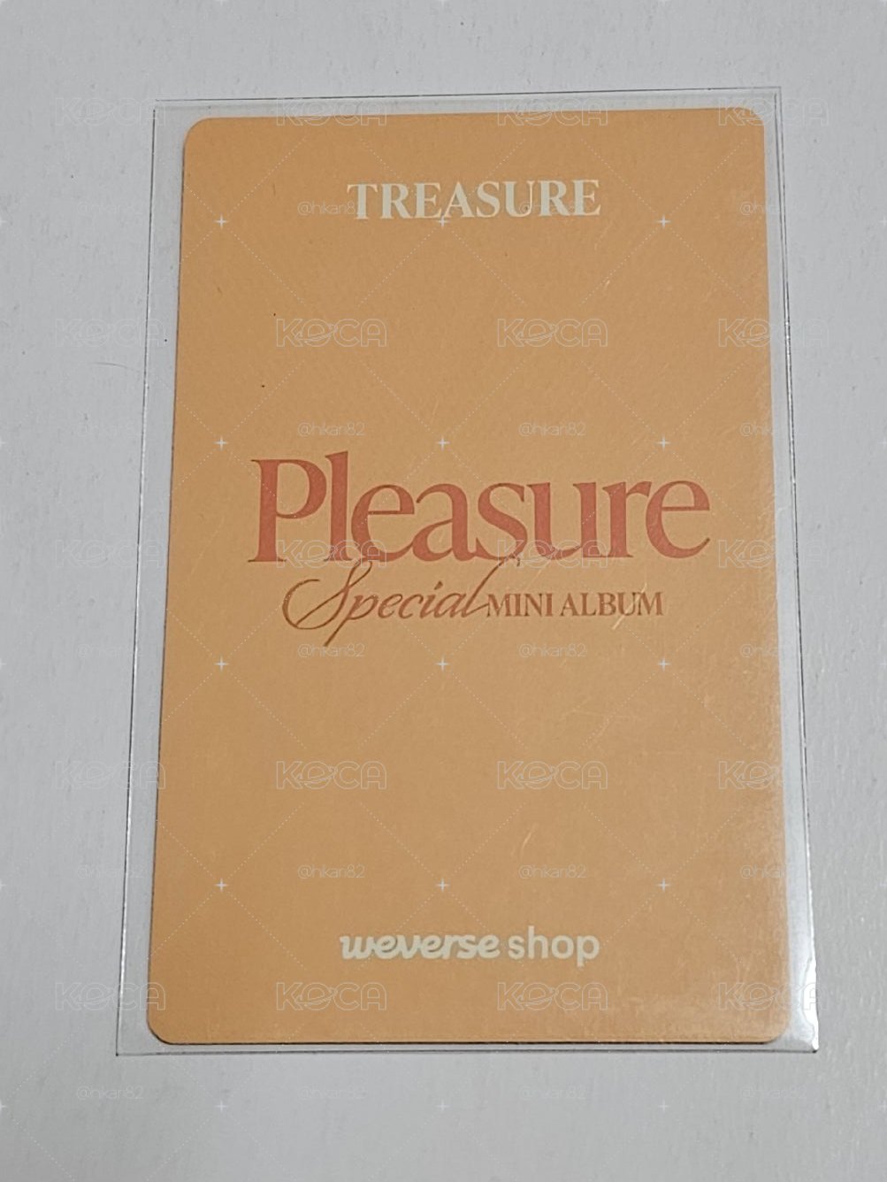 TREASURE PLEASURE ASAHI 