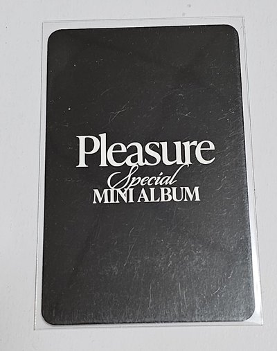 TREASURE PLEASURE ASAHI 