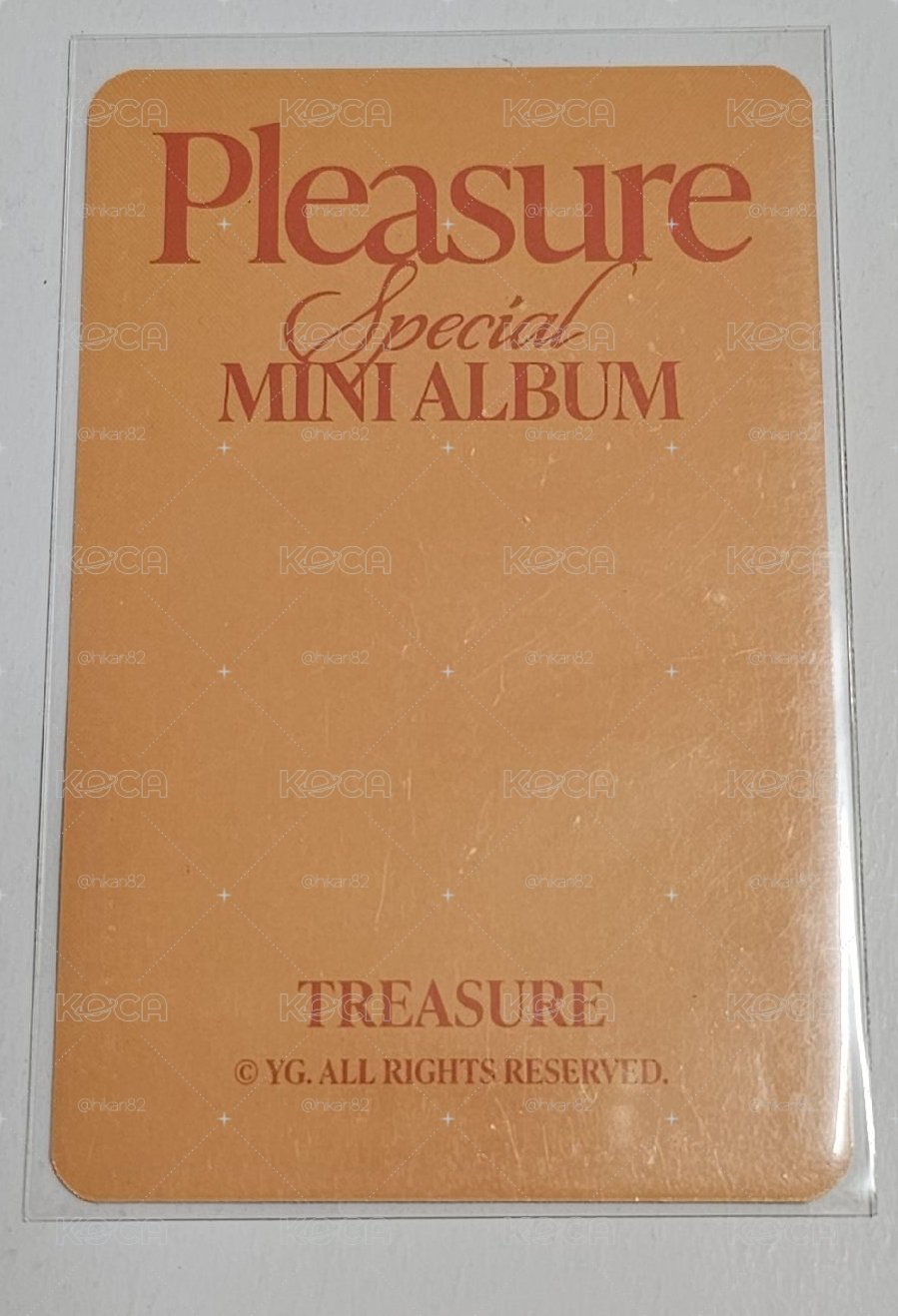 TREASURE PLEASURE ASAHI 