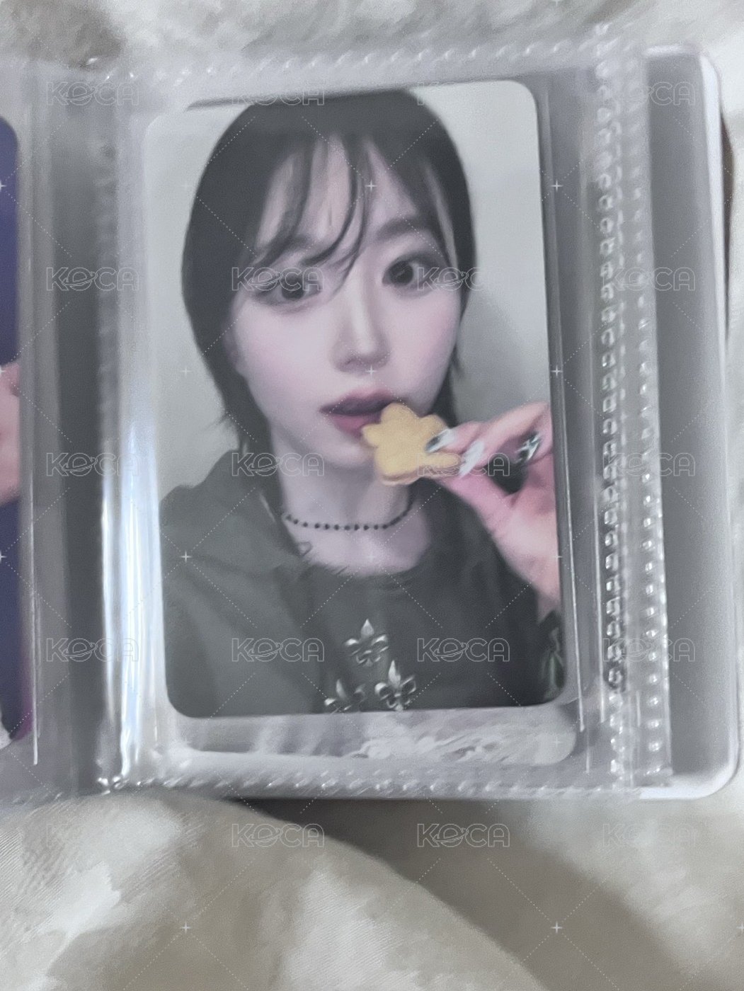 餅乾海嫄