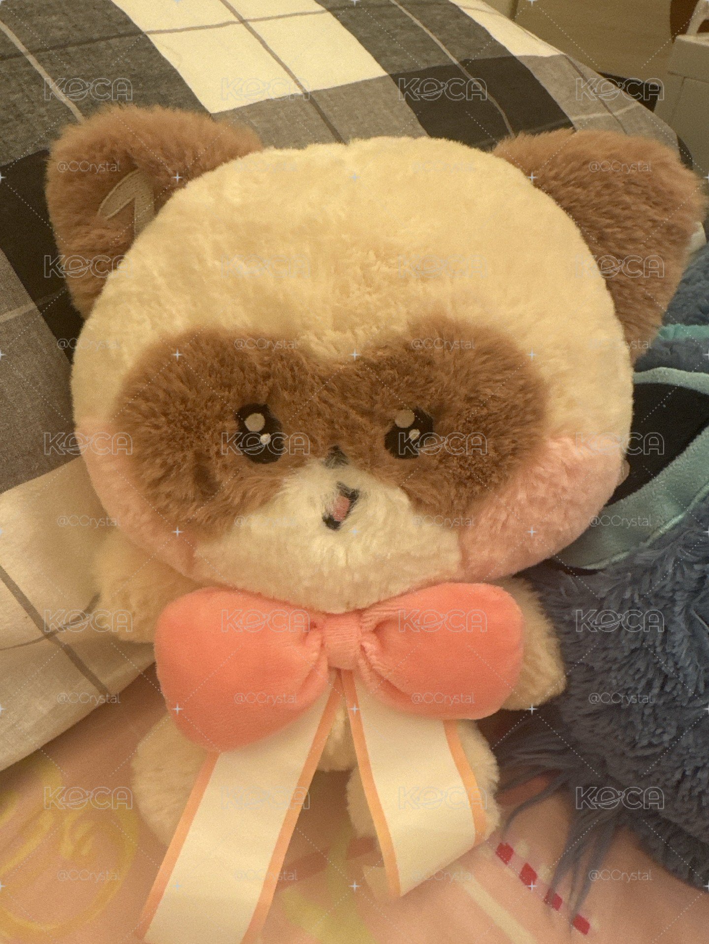 蝴蝶結昊
