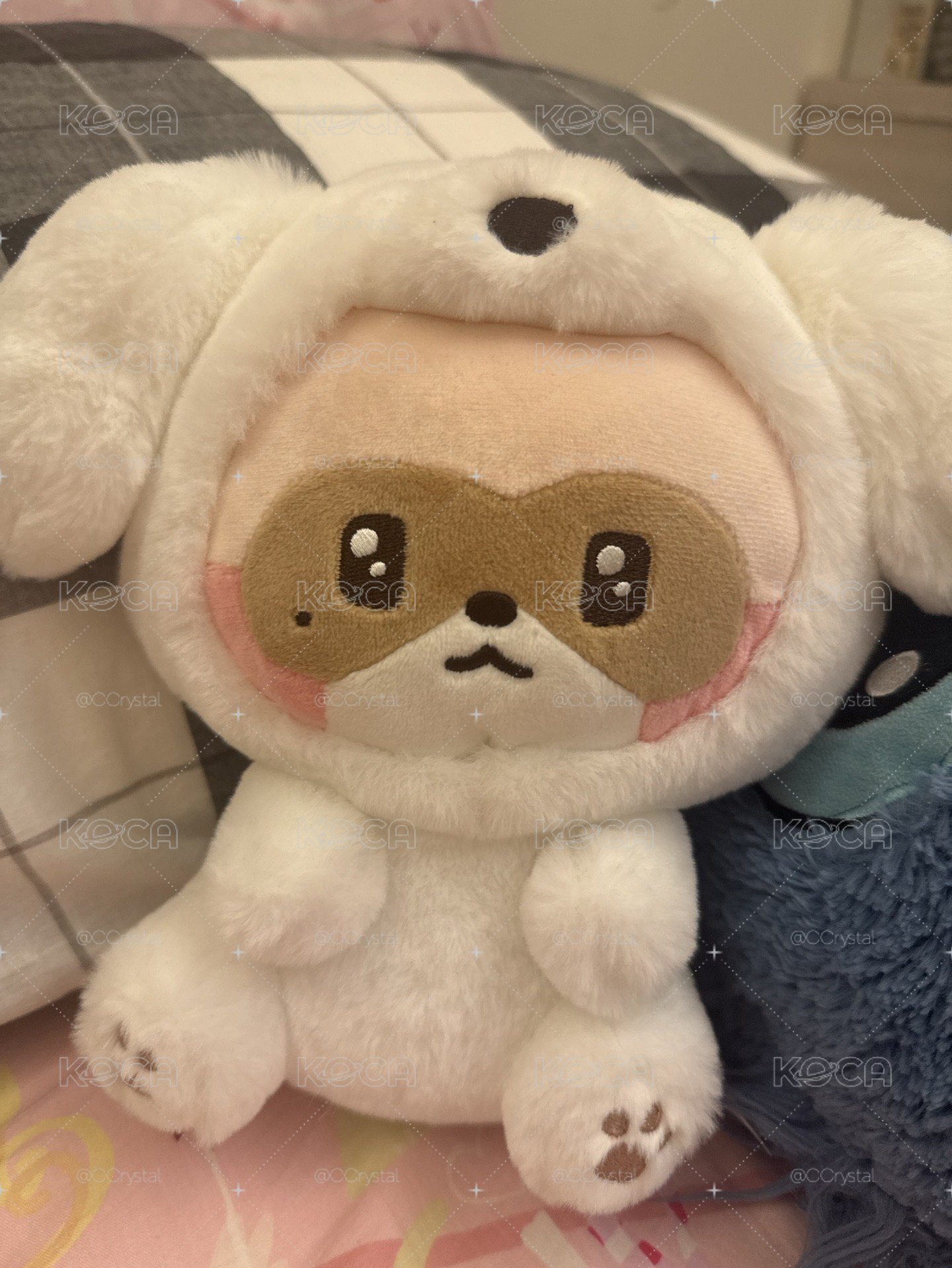 狗狗昊