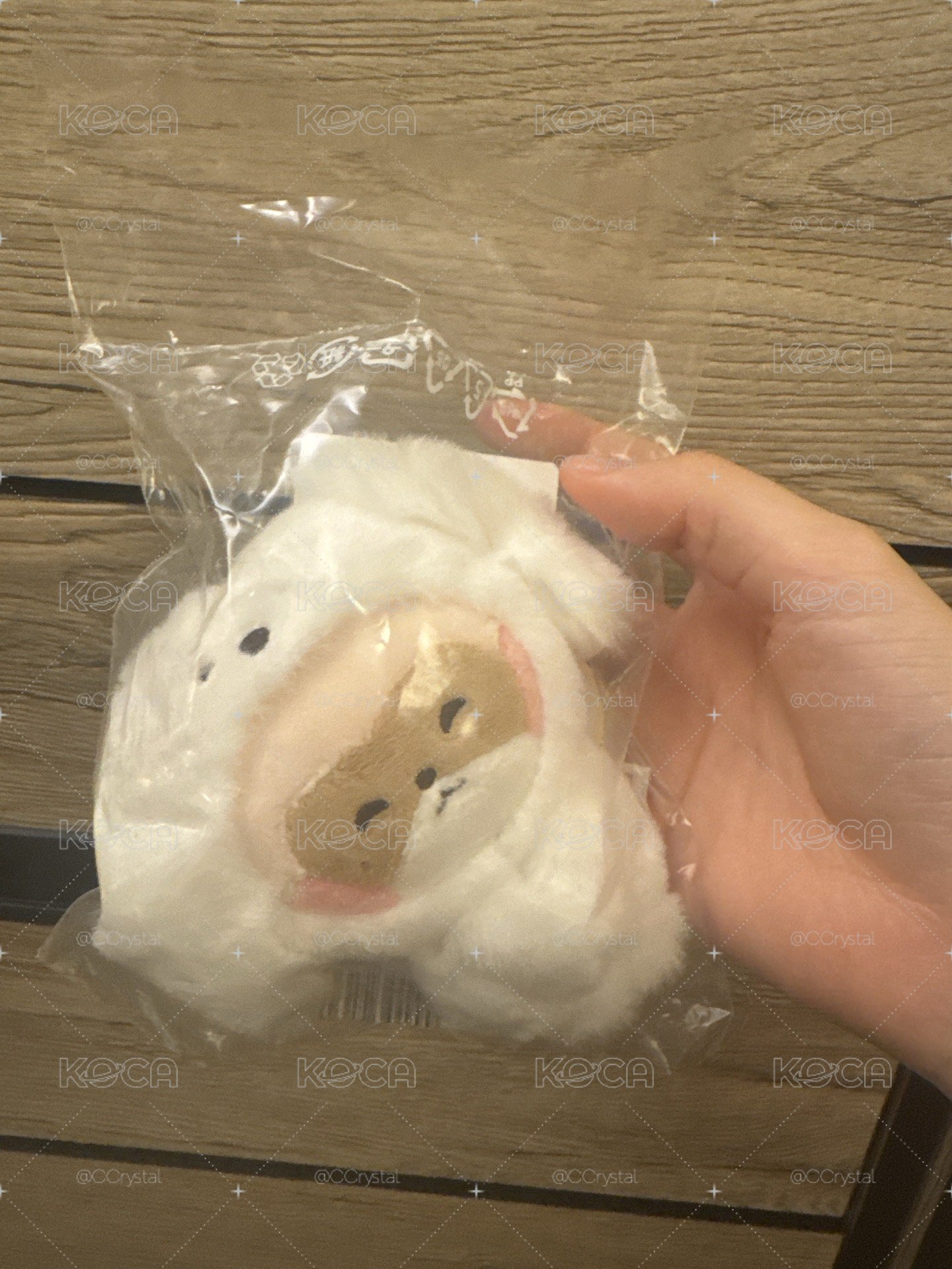 磁鐵昊
