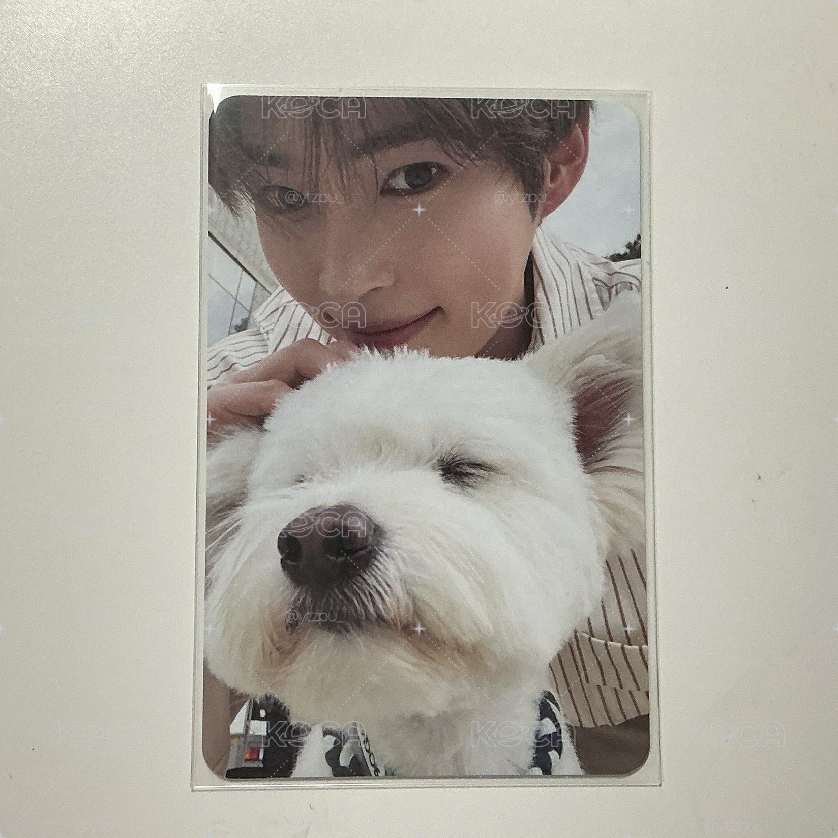 正規一 韓彬🐶