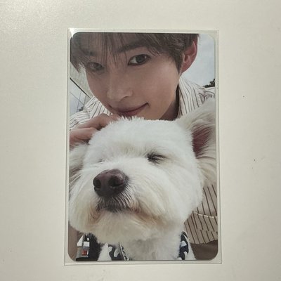 正規一 韓彬🐶