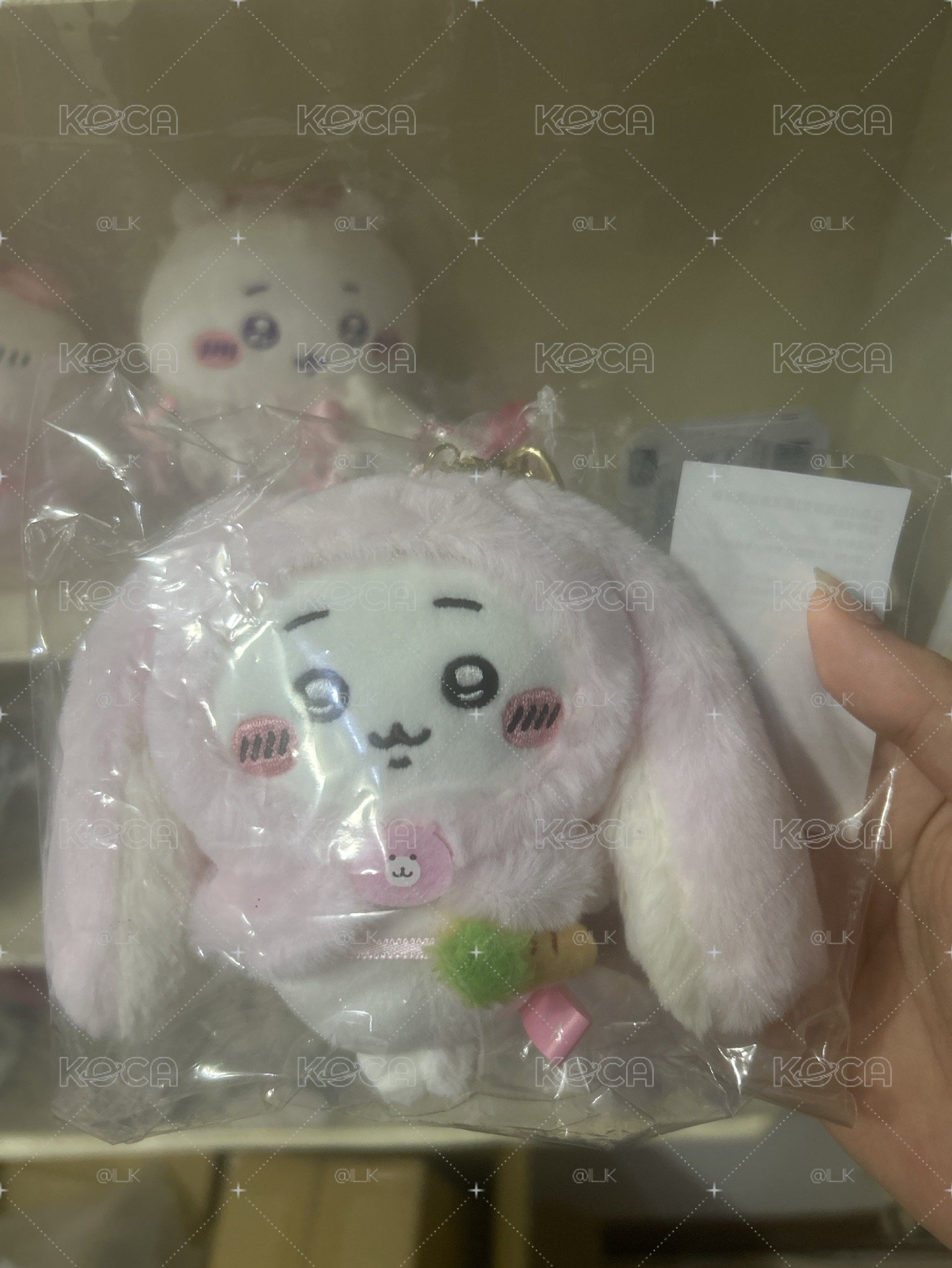 台灣限定垂耳兔