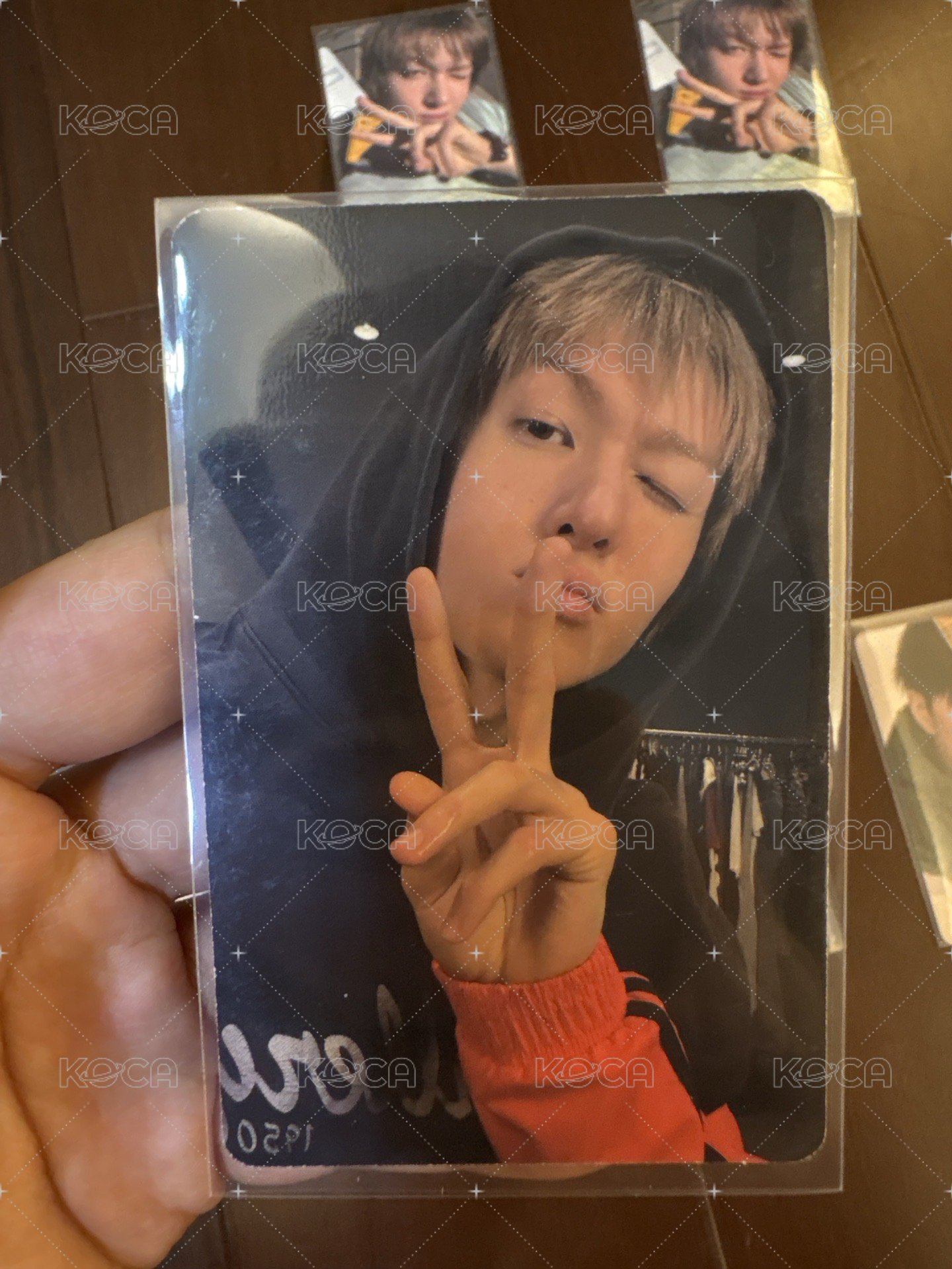 白版馬