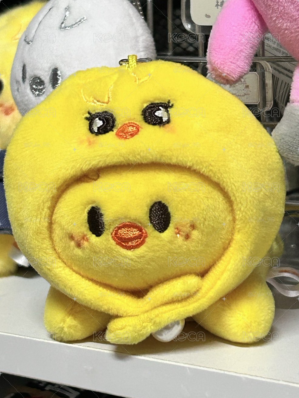 菲娃