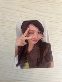有情