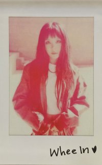 adagio 拍立得小卡 專輯卡 