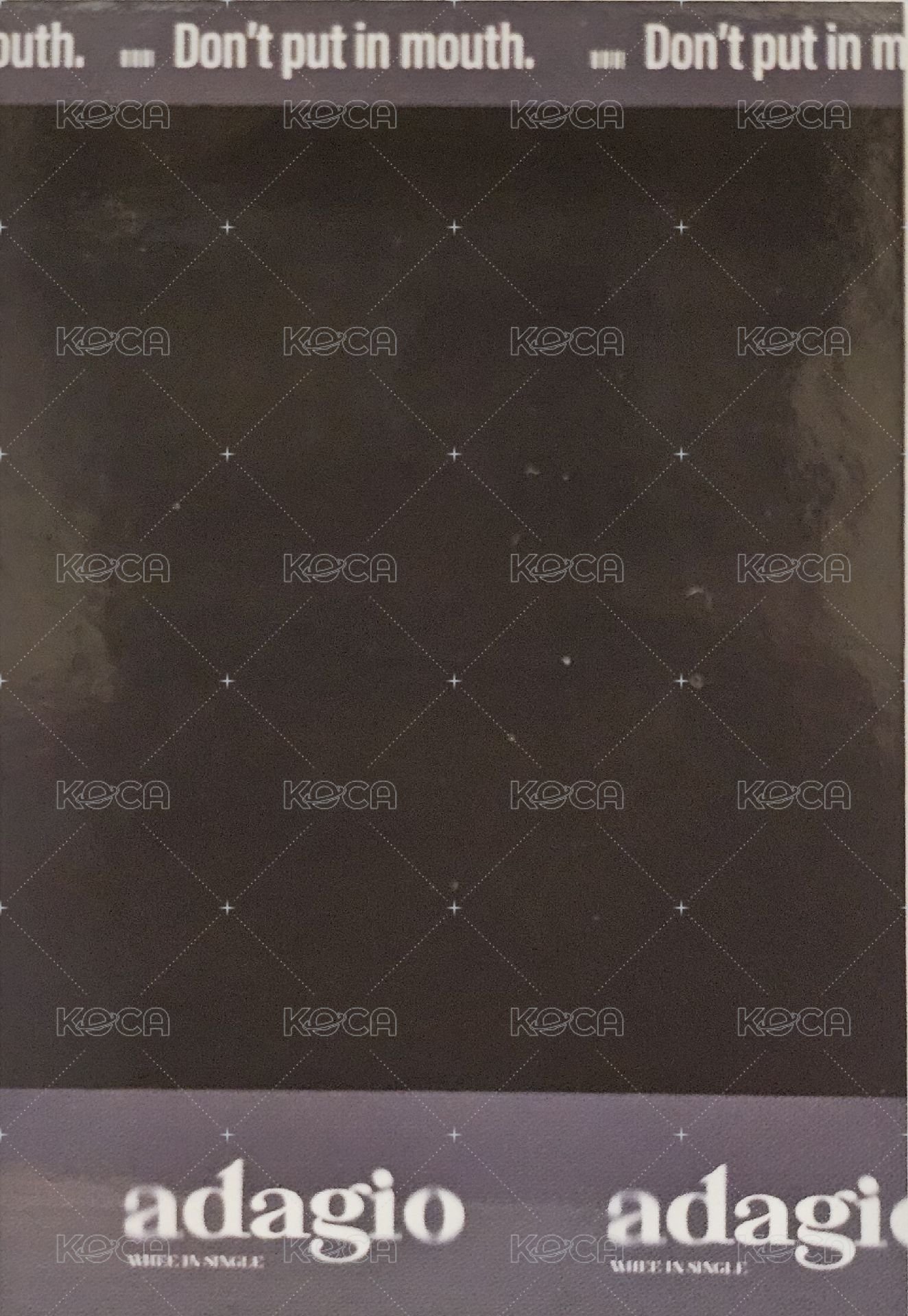 adagio 拍立得小卡 專輯卡  背面