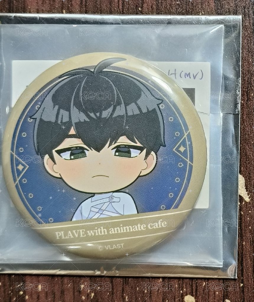 animate  MV