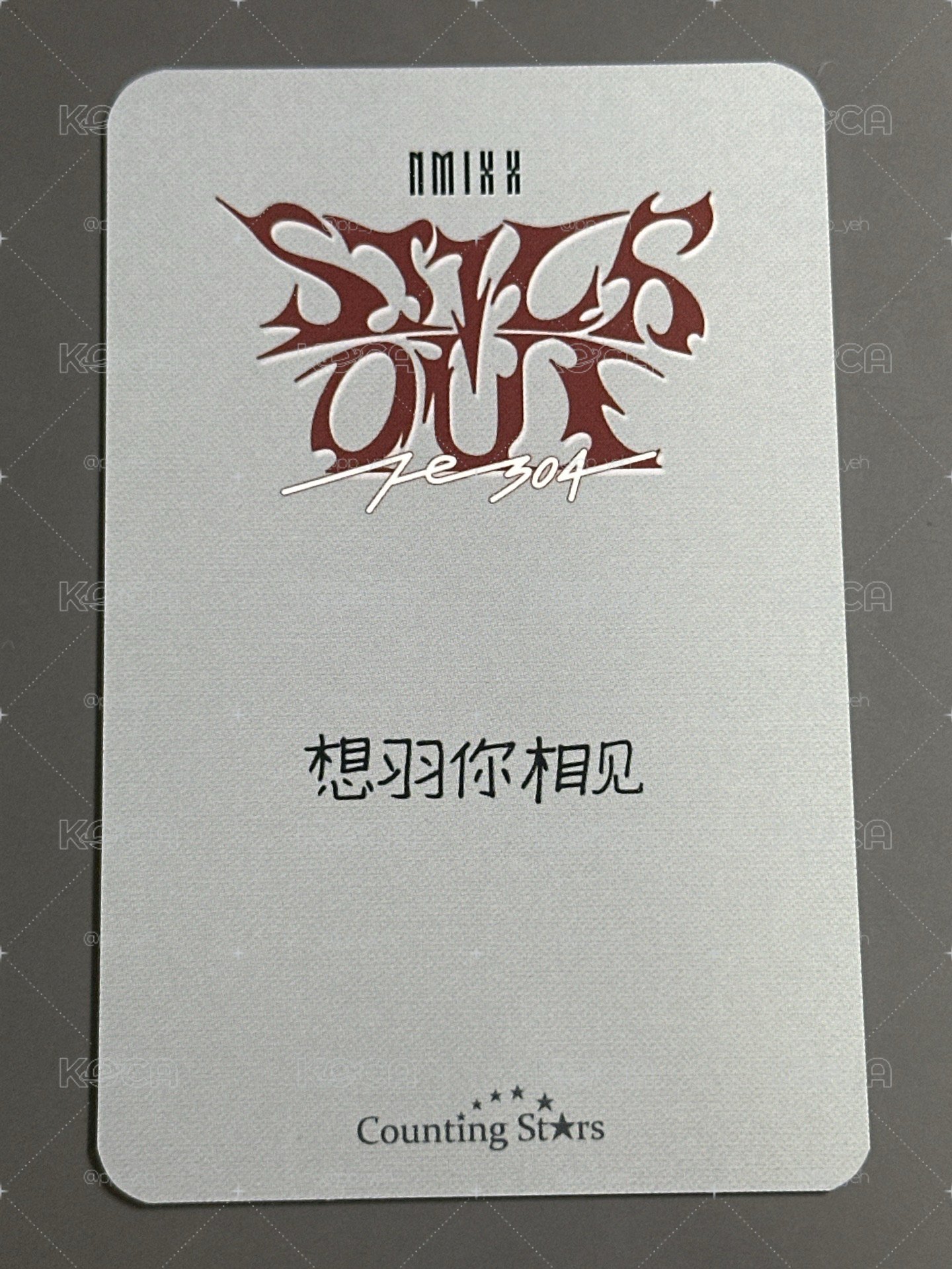 NMIXX 數星星新娘友（中文卡背）
