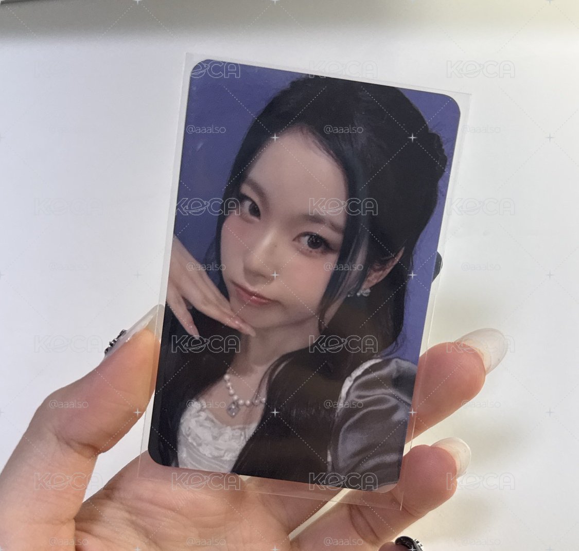 ms公主圭
