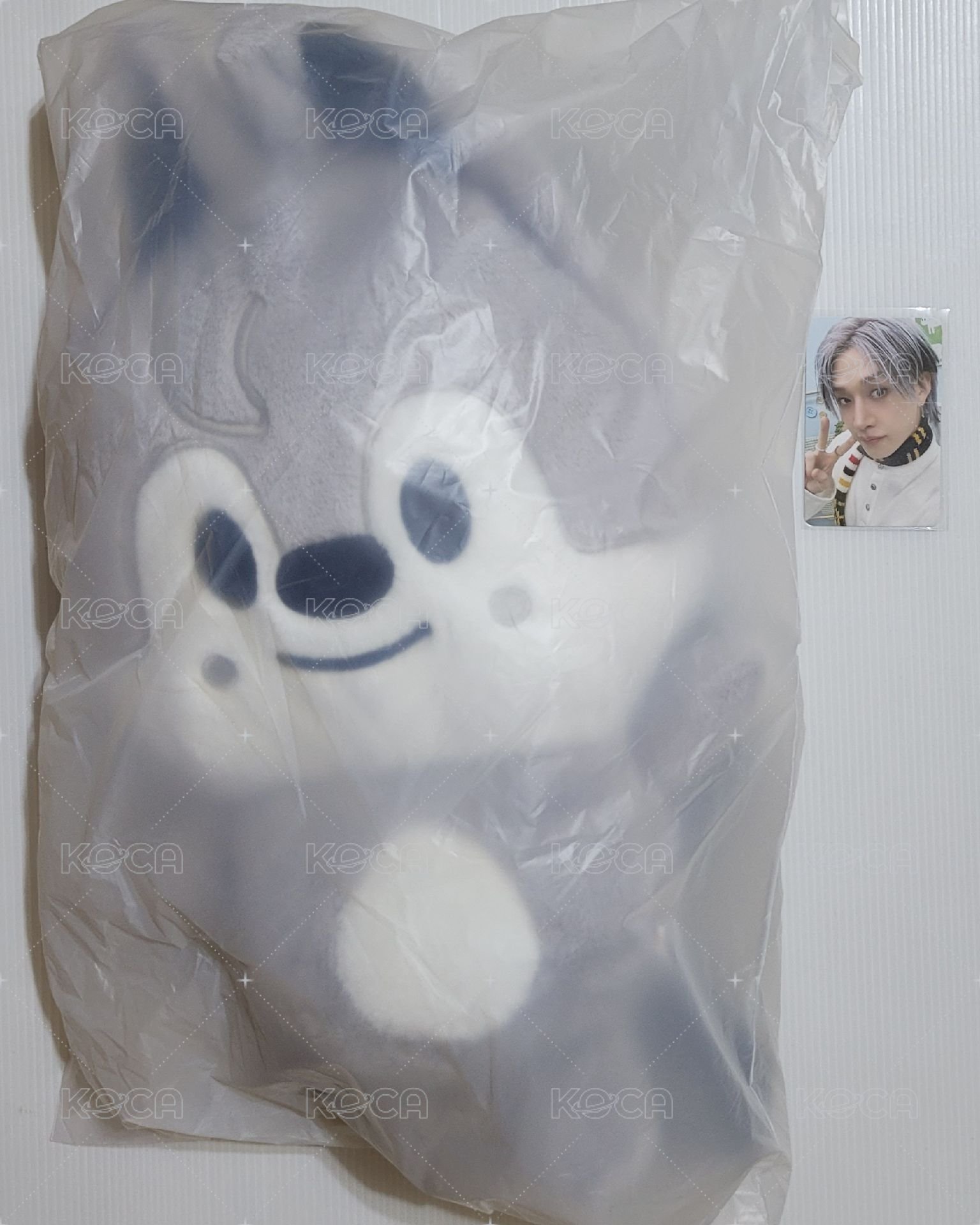 燦後背包