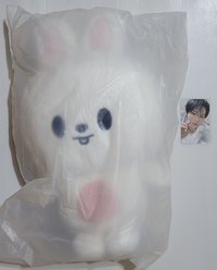 旻後背包