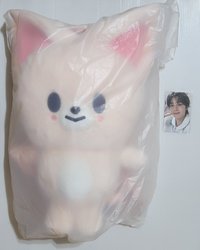 寅後背包