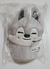 燦狼帽
