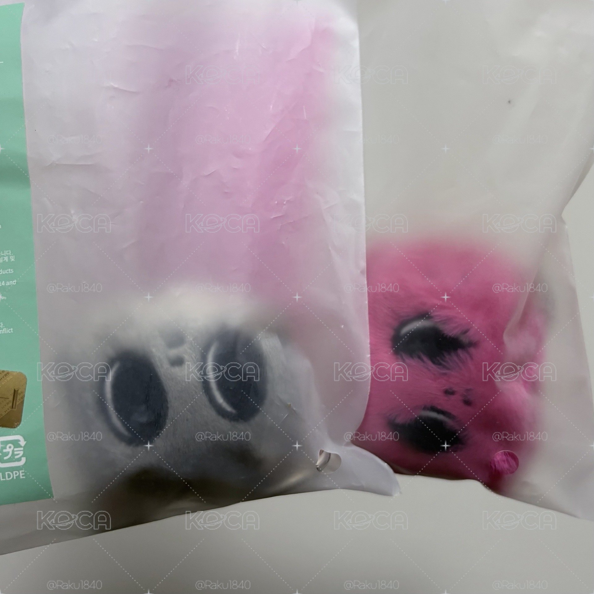 原皮、火龍果大頭合售