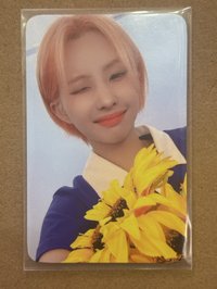 wm線上
