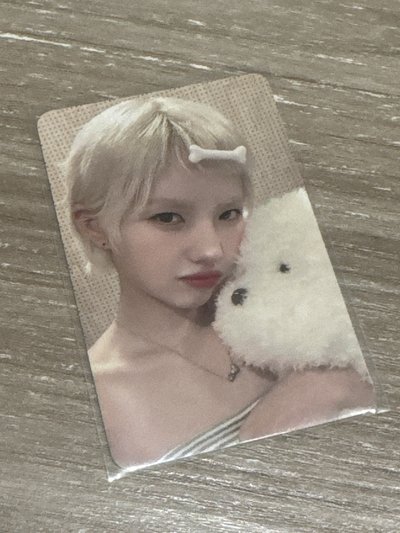 HL抱狗娟🐶