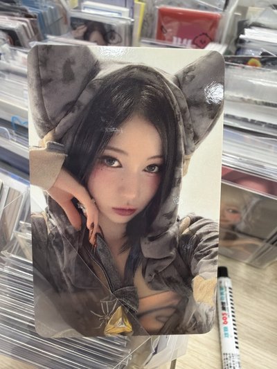 貓耳托臉紗🐰